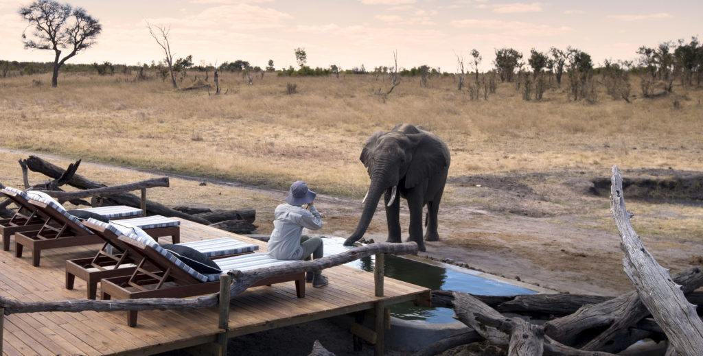 Somalisa-Expeditions-Hwange-National-Park-Zimbabwe-Close-encounters-with-elephants-at-the-elephant-pool-2-Luxury-Safari-Lodge-African-Bush-Camps-1024x519