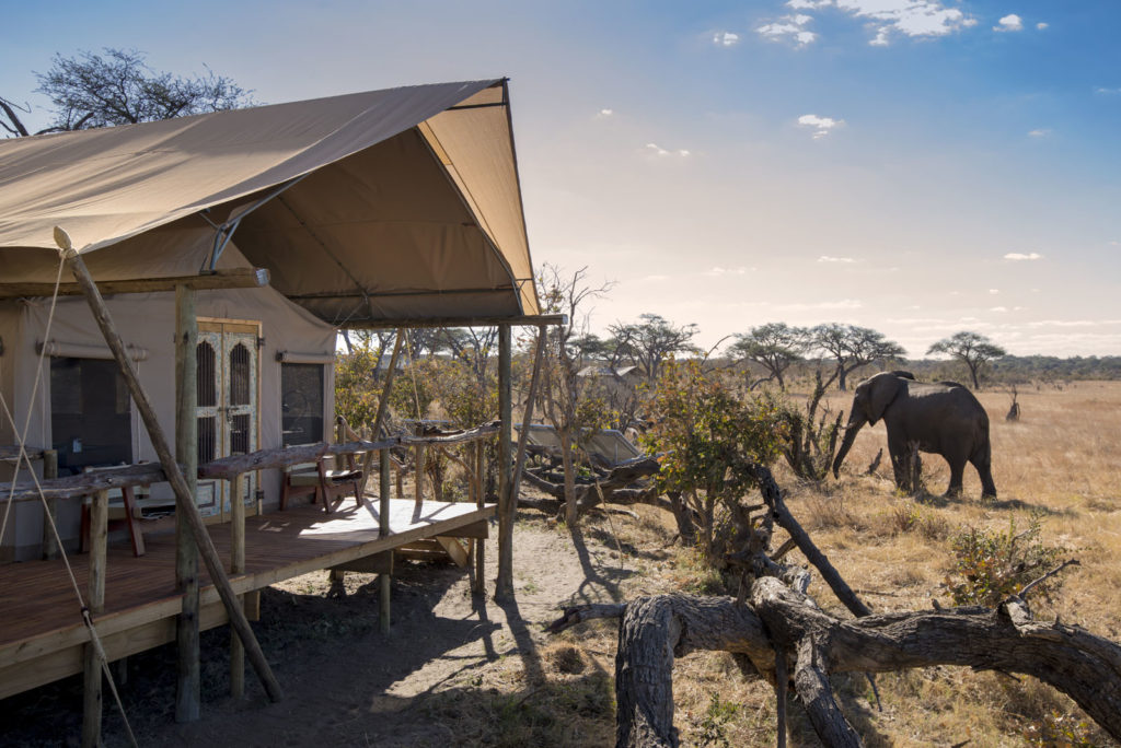 Somalisa-Expeditions-Hwange-National-Park-Zimbabwe-Close-encounters-with-elephants-from-camp-2-Luxury-Safari-Lodge-African-Bush-Camps-1-1024x684